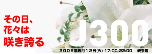 j300.jpg